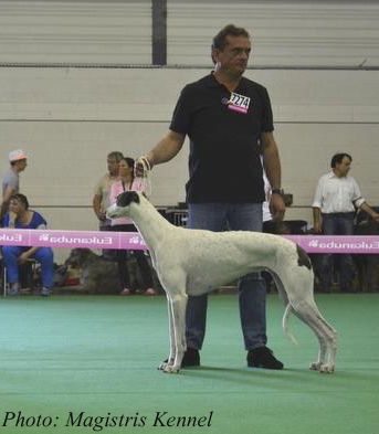 Des houssepied - 12/06/2014 Le championnat de France